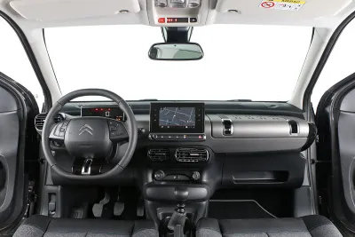 C4 Cactus